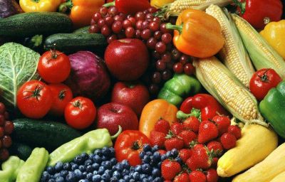 Fortalecen la producci�n de alimentos org�nicos
