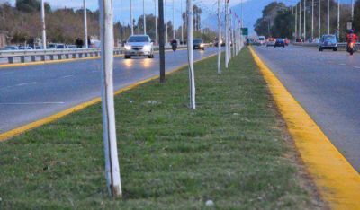 Inauguraron importante obra de riego por goteo en el Conector Sur