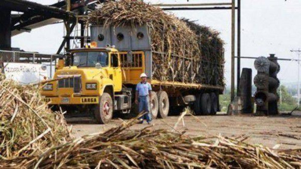 Gremios azucareros suspenden el paro, tras la conciliaci�n obligatoria