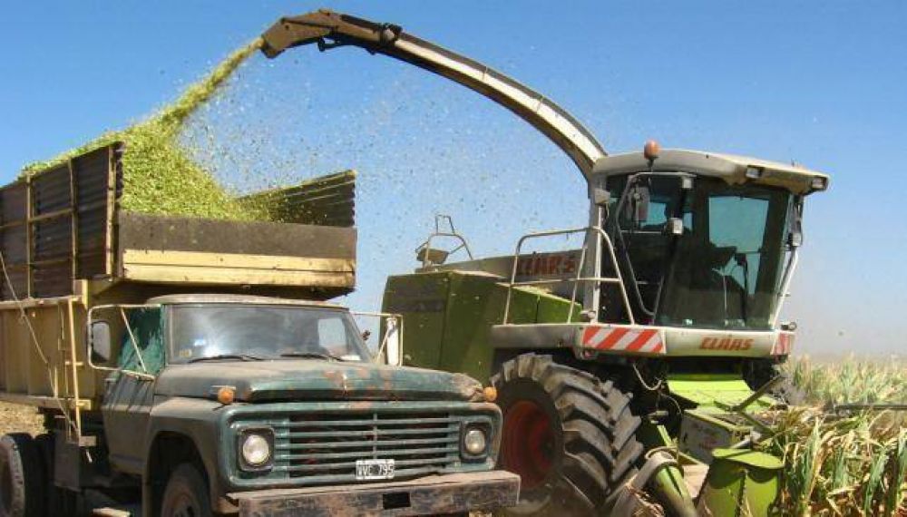 Conviene poner un plazo fijo antes que trabajar el campo