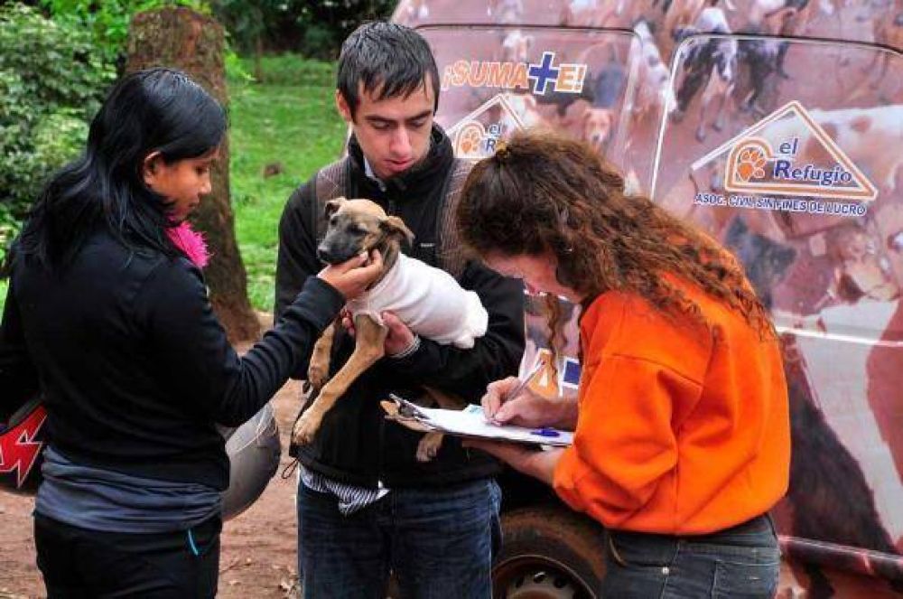 Invitan al Festival por un hospital veterinario gratuito en Posadas