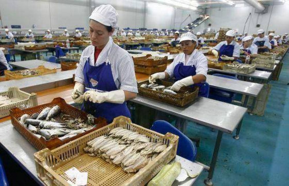 Pesca: El cupo de captura no alcanza para dar trabajo a la gente en tierra