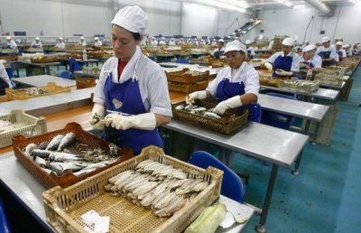 Pesca: �El cupo de captura no alcanza para dar trabajo a la gente en tierra�