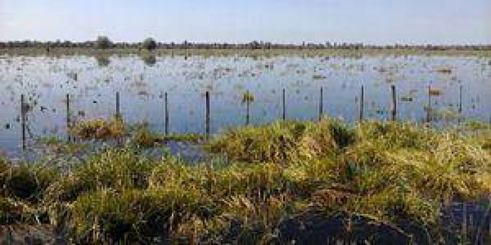 Inundaciones: �Muchos productores abandonaron sus campos�