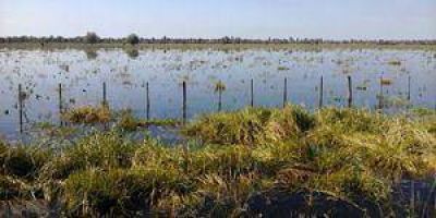 Inundaciones: �Muchos productores abandonaron sus campos�