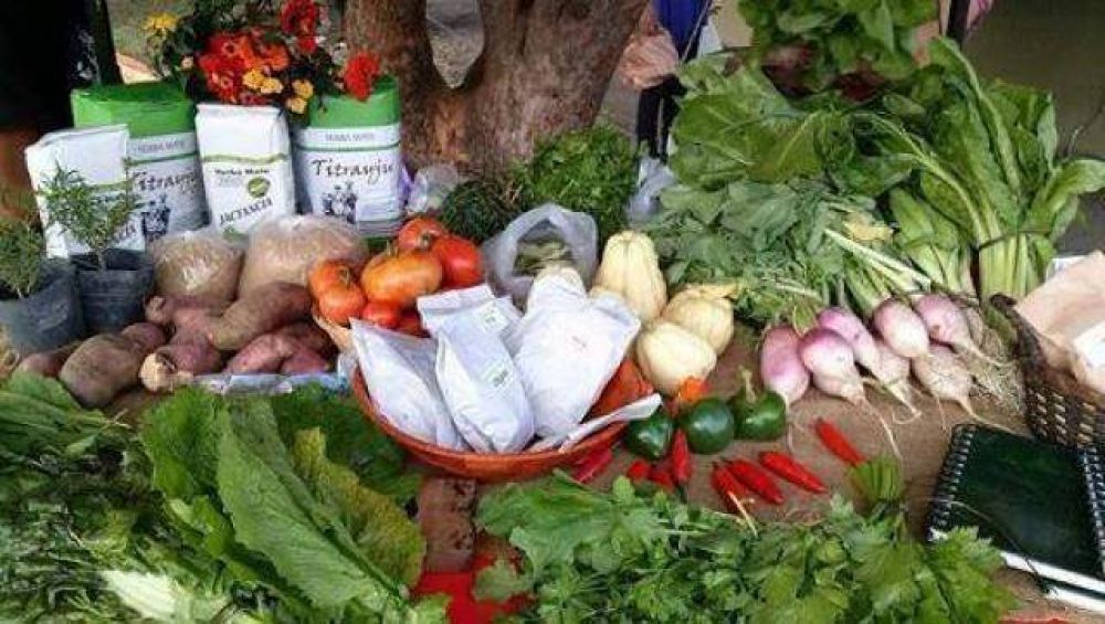 El INTA y el Municipio de Mor�n trabajan juntos por la Agroecolog�a Urbana