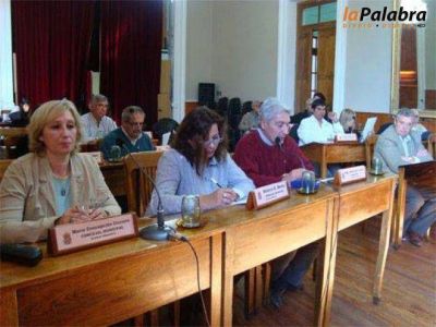 Concejales proponen que se otorguen turnos hospitalarios mediante internet