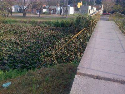 Quejas por el mal estado de la pasarela de 153