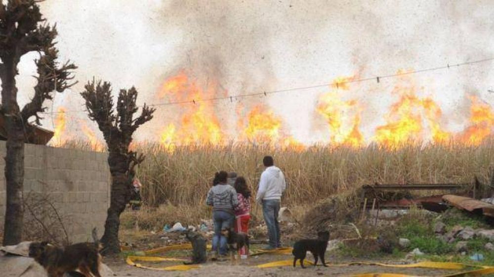 Dos sat�lites de la NASA muestran la quema en campos tucumanos