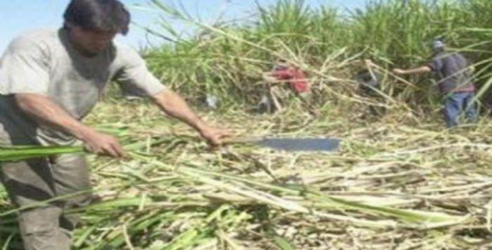 Azucareros cerraron un aumento del 32 por ciento