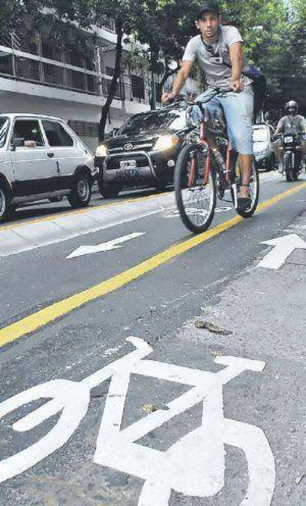 Informan sobre el avance de obra de las ciclov�as en la Ciudad de Salta
