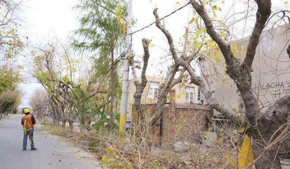 Multar�n a Energ�a San Juan por podar mal en Santa Luc�a