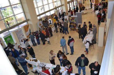 Se vienen 7 d�as a pura dulzura: comienza la semana de la miel