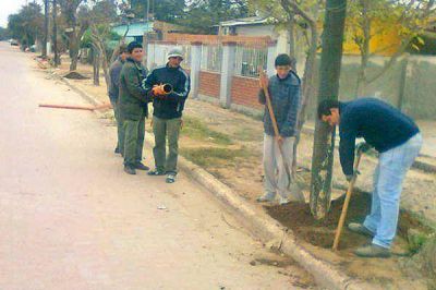 Iniciaron tareas de reconversi�n lum�nica en Clodomira