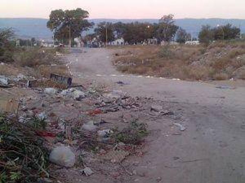 La invasi�n de ratas lleg� hasta las palmeras de la Casa de Gobierno