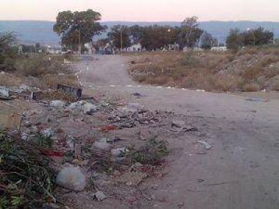 La invasi�n de ratas lleg� hasta las palmeras de la Casa de Gobierno
