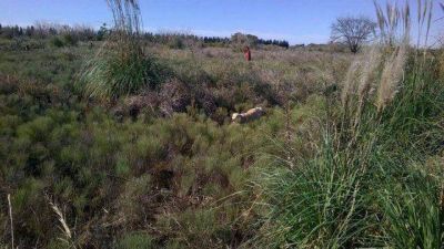 La Divisi�n Canina de Baradero colabora en la b�squeda de Diana Colm�n