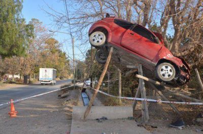 Un polic�a conduc�a el auto que choc� y qued� colgado de un �rbol