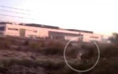 Aseguran que vieron un fantasma en Ca�uelas