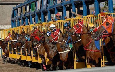 Piden expropiar las tierras del Hip�dromo