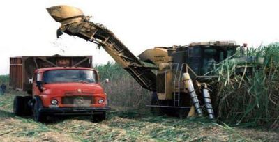 Productores ca�eros lograron un principio de acuerdo