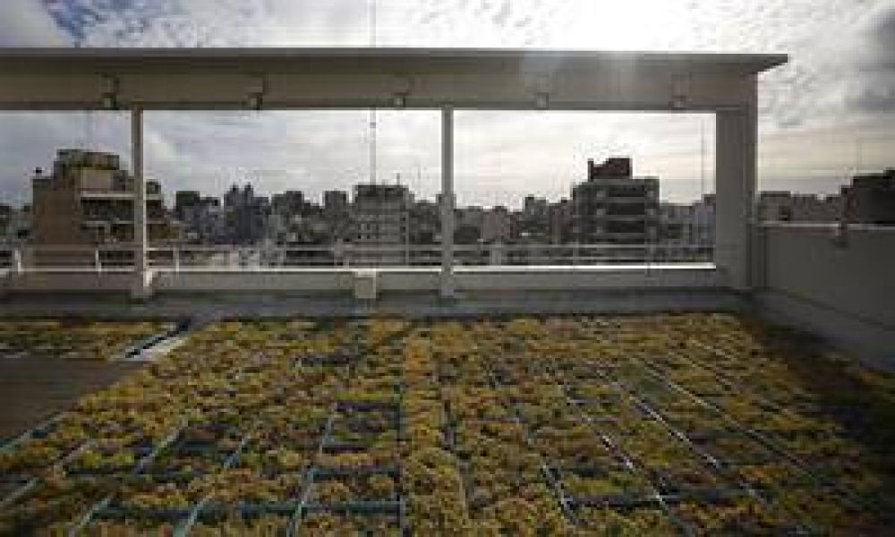 Arquitectura verde: el 15% de los edificios de oficinas de la ciudad son sustentables