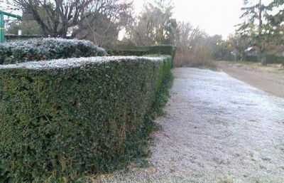 C�rdoba despert� con heladas y temperaturas bajo cero