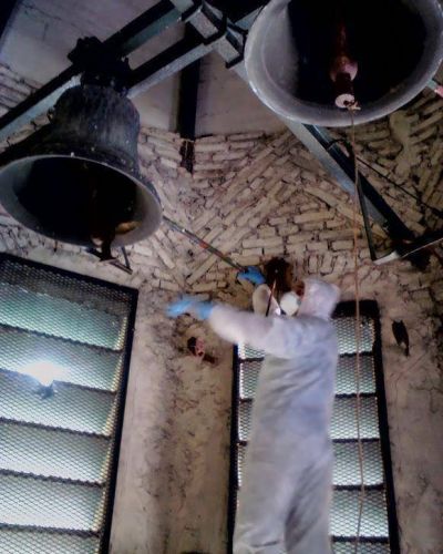 Tras una d�cada de silencio, resuenan las campanas en 115 y 530
