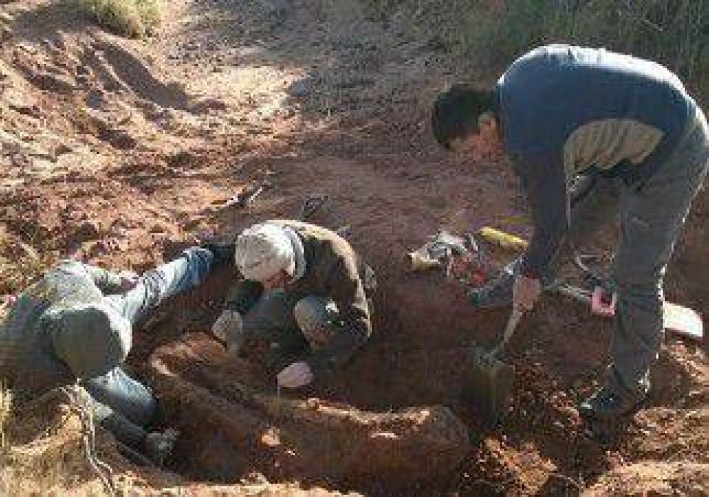 Hallan restos de dinosaurio en cercan�as de Plottier 
