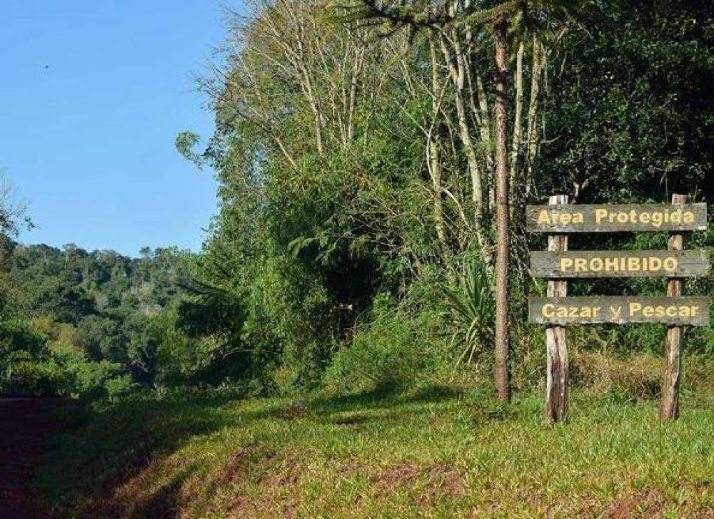 Suspendieron el remate de unas siete mil hect�reas del Yabot�