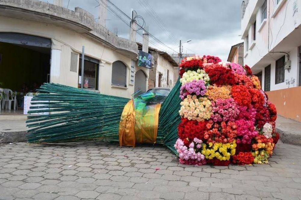 Cerca de 100.000 rosas adornarán los actos del papa Francisco en el Ecuador