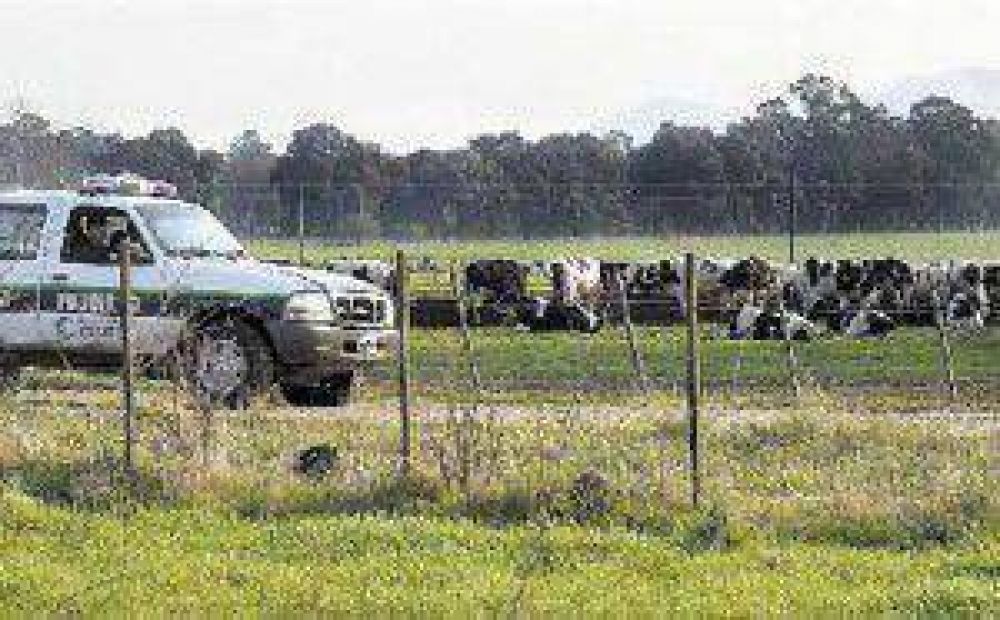 Sociedad Rural local: �Es evidente la inacci�n de la justicia�