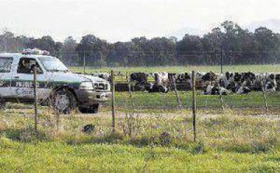 Sociedad Rural local: �Es evidente la inacci�n de la justicia�