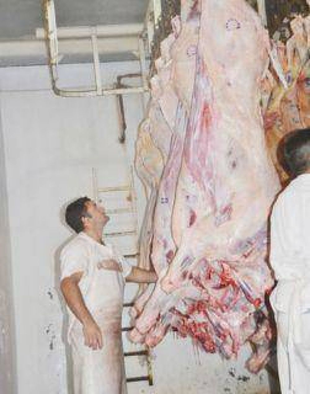 La industria frigor�fica del Chaco agobiada por la ca�da del precio de los cueros