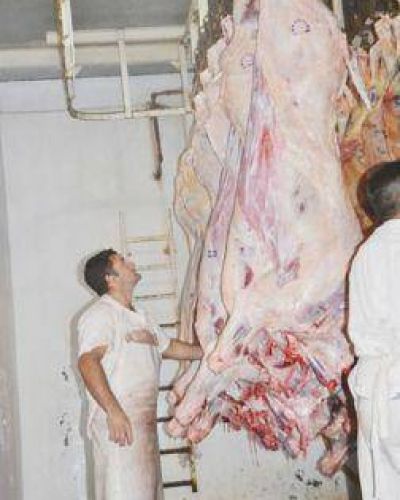 La industria frigor�fica del Chaco agobiada por la ca�da del precio de los cueros