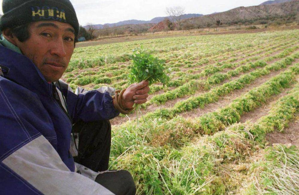 Cambio Rural II para los productores familiares