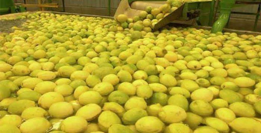 Manzur: �Vamos a lograr entrar en un mercado como es la India�