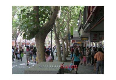 Por el feriado, confirmaron que este jueves el centro no abre sus puertas