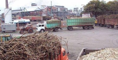 Modificaron art�culos la Ley azucarera