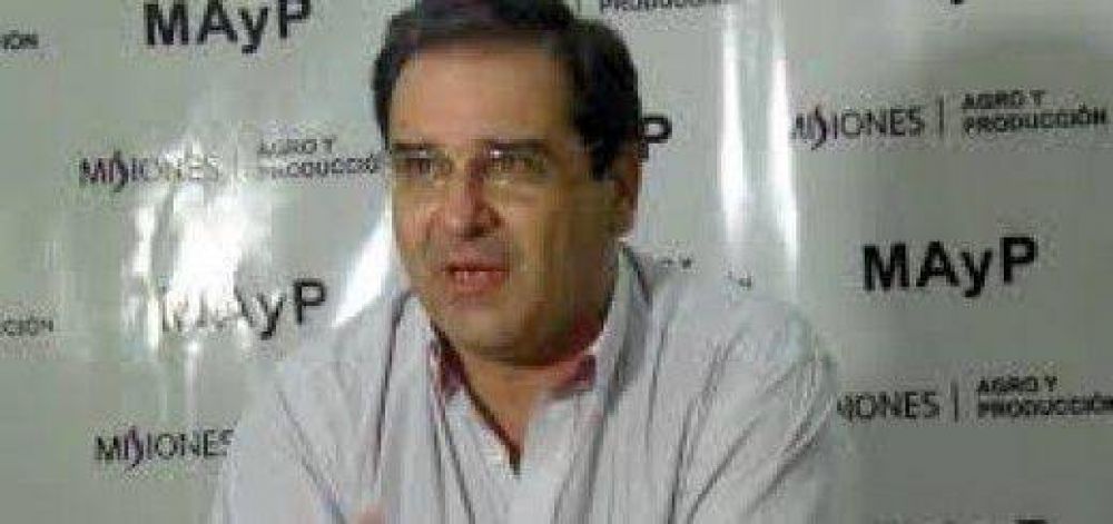 Yerba: Proponen reducir el porcentaje de palo para elevar la demanda de hoja verde