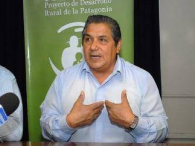 Los fruticultores del Valle Inferior tambi�n acceder�n a subsidios para realizar las tareas culturales