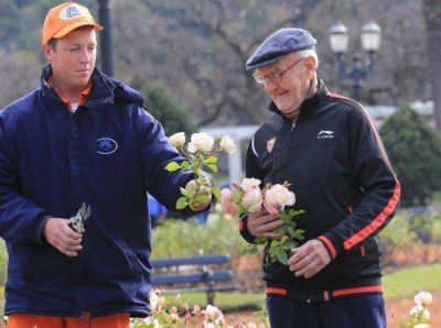 Poda en el Rosedal: los vecinos pueden llevarse flores para trasplantar