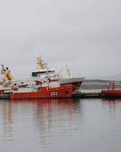 En mayo la actividad pesquera en Tierra del Fuego registr� una ca�da del 34 por ciento
