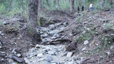 CLARIN se hace eco de la pol�mica por el canje de tierras