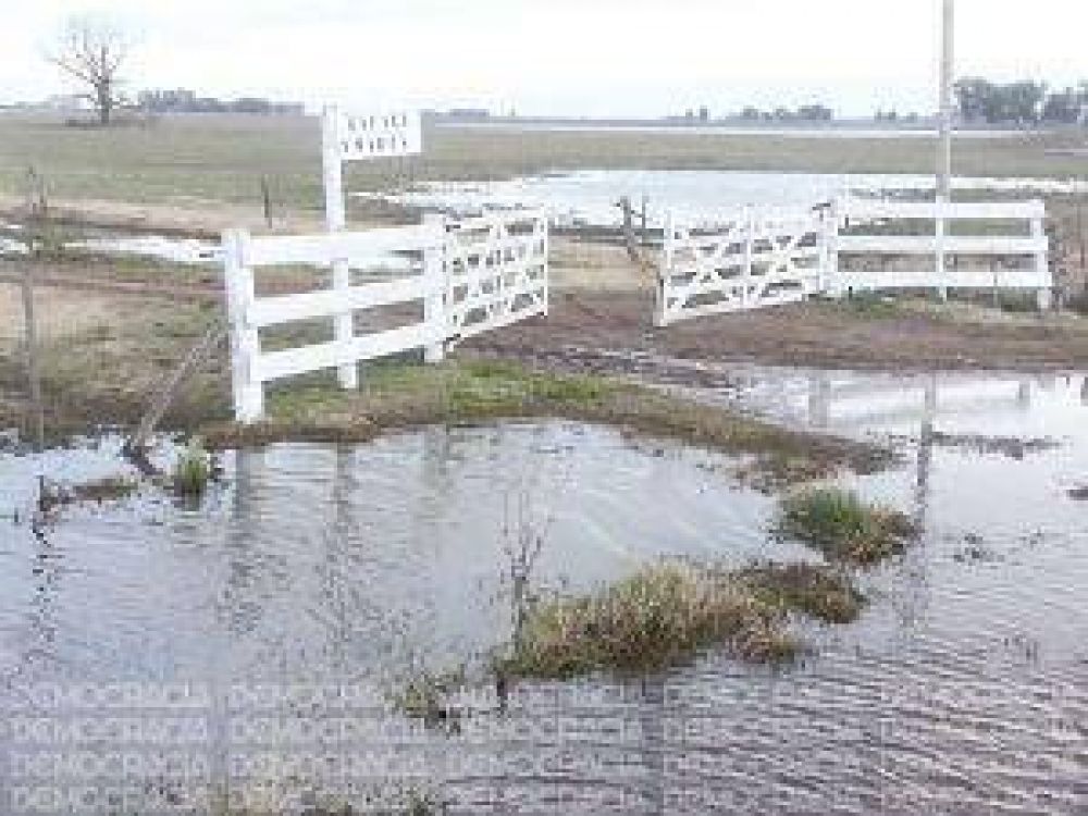 Emergencia agropecuaria y desastre por inundaciones en distritos de la Regi�n