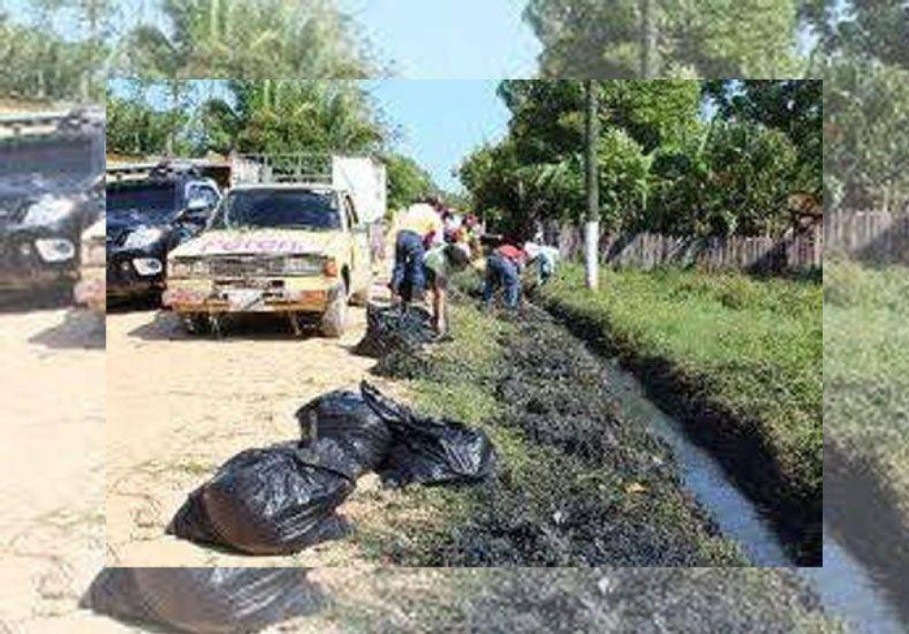Hace un a�o que un grupo de j�venes limpia B� Scaraf�a