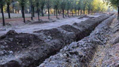 �Qu� pasa con las obras en la calle principal del Parque?