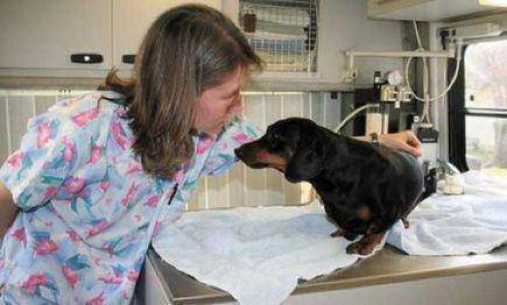 �Necesitamos el Hospital Veterinario P�blico en la provincia�