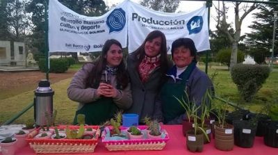 A pesar del fr�o igual hubo Feria Verde