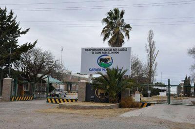 SENASA: ocho d�as de conflicto, con impacto en La Pampa